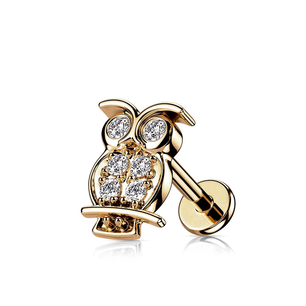 Knorpel Ohrstecker Eule Silber Gold Roségold Pavé Zirkonia Clear Piercings Chirurgenstahl Schraubverschluss Stab 6/8mm lang