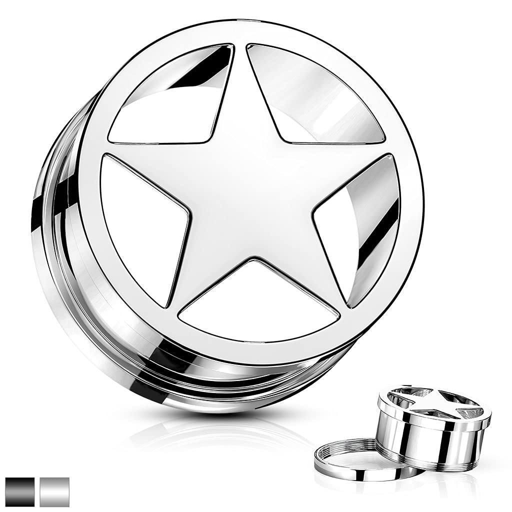 Ohrtunnel Stern Silber Schwarz Chirurgenstahl Ohrpiercing Ohrschmuck Plug Screw Fit Flesh Schraubverschluss 6-25mm