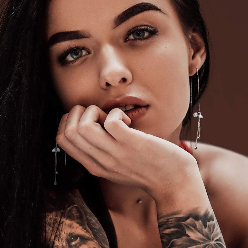 1 Paar Damen Durchzieher Ohrringe Doppel-Zirkonia Doppel-Kette Ohr-hänger e Ohrstecker Silber Clear