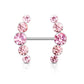 Brustwarzenpiercing 5 runde Kristalle Brustpiercing Intimpiercing Nippelpiercing Chirurgenstahl Silber viele Farben Stab 1,6/16mm