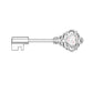 Brustwarzenpiercing Vintage SCHLÜSSEL Brustpiercing Intimpiercing Edelstahl Glitzer-Opal Silber Gold Roségold Stab 1,6mm 12mm