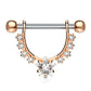 Brustwarzenpiercing GROSSER Stern Intimpiercing Brustpiercing Edelstahl Silber Gold Roségold Clear Aqua Stab 1,6mm 12mm