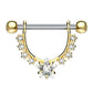 Brustwarzenpiercing GROSSER Stern Intimpiercing Brustpiercing Edelstahl Silber Gold Roségold Clear Aqua Stab 1,6mm 12mm