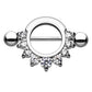 Brustwarzenpiercing ZIRKONIA Ring Intimpiercing Brustpiercing Edelstahl Silber Gold Roségold Hämatit Clear Stab 1,6mm 14mm