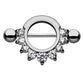 Brustwarzenpiercing ZIRKONIA Ring Intimpiercing Brustpiercing Edelstahl Silber Gold Roségold Hämatit Clear Stab 1,6mm 14mm