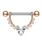 Brustwarzenpiercing GROSSES Herz Intimpiercing Brustpiercing Edelstahl Silber Gold Roségold Clear Pink Stab 1,6mm 12mm