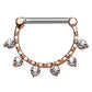beyoutifulthings Bogen FILIGRAN Brustwarzenpiercing Intimpiercing Brustpiercing ZIRKONIA Opal Edelstahl Gold Silber ROSÈ 1,6mm 12mm KLICKVERSCHLUSS