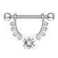 Brustwarzenpiercing GROSSER Stern Intimpiercing Brustpiercing Edelstahl Silber Gold Roségold Clear Aqua Stab 1,6mm 12mm
