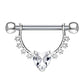 Brustwarzenpiercing GROSSES Herz Intimpiercing Brustpiercing Edelstahl Silber Gold Roségold Clear Pink Stab 1,6mm 12mm