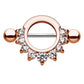 Brustwarzenpiercing ZIRKONIA Ring Intimpiercing Brustpiercing Edelstahl Silber Gold Roségold Hämatit Clear Stab 1,6mm 14mm