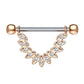 Federn Brustwarzenpiercing Intimpiercing Brustpiercing Nippelpiercing Edelstahl ZIRKONIA Clear Gold Silber ROSÈGOLD 1,6mm 14mm