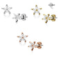 1 Paar Ohringe Ohrringe Set Stecker Edelstahl Chirurgenstahl Marquise Bluetenblatt clear Zirkonia gold silber roségold