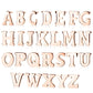 1 Paar Ohrstecker ALPHABET INITIALEN e Ohrringe Schmuck Set Edelstahl Silber Roségold