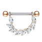 Brustwarzenpiercing FUNKELNDER BLÄTTER-Kranz Brustpiercing Edelstahl Silber Gold Roségold viele Farben Stab 1,6mm 14mm