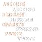 1 Paar Ohrstecker ALPHABET INITIALEN e Ohrringe Schmuck Set Edelstahl Silber Roségold